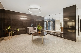 253 E Delaware Pl in Chicago, IL - Foto de edificio - Building Photo