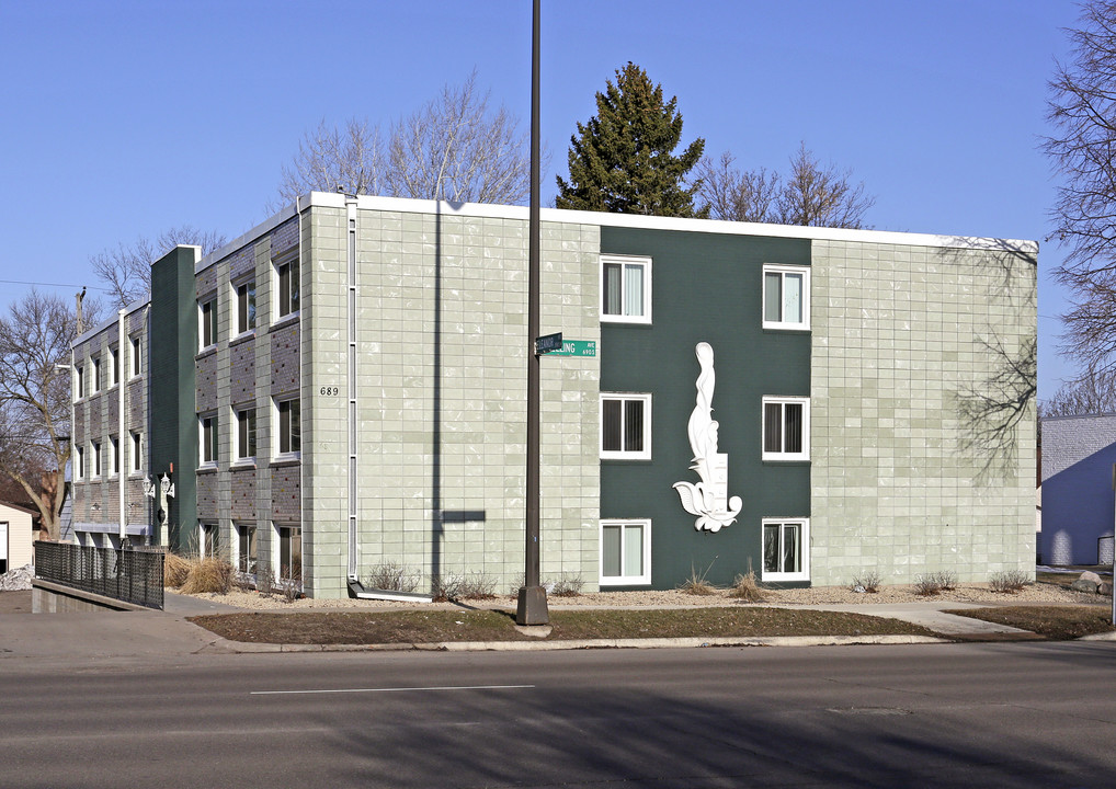 689 Snelling Ave S in St. Paul, MN - Building Photo