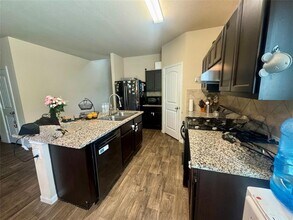 311 Coleto Crk Lp in Kyle, TX - Building Photo - Building Photo