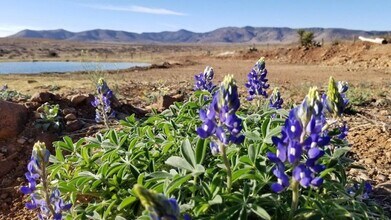 5 Blue Water Rd in Alpine, TX - Building Photo - Building Photo
