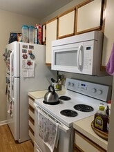 303 White St in Lexington, VA - Building Photo - Building Photo