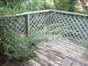 9 Montclair Ct in Columbus, GA - Building Photo - Building Photo