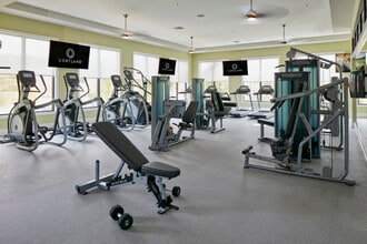 Cortland South Kendall in Miami, FL - Foto de edificio - Building Photo
