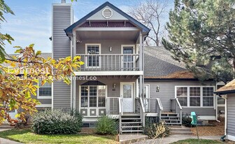 2828 Silverplume Dr in Fort Collins, CO - Building Photo