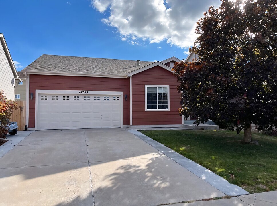14203 Tern Dr in Colorado Springs, CO - Building Photo