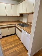 842 W Collins St in Denton, TX - Building Photo - Building Photo
