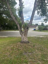 2329 Pine Tree Ct in Kissimmee, FL - Building Photo - Building Photo
