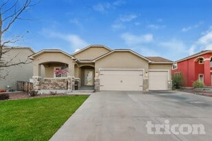 7935 Dutch Loop in Colorado Springs, CO - Building Photo