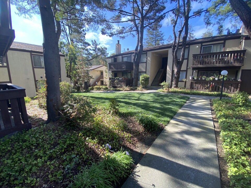 Shadow Creek Apartments in Castro Valley, CA - Building Photo