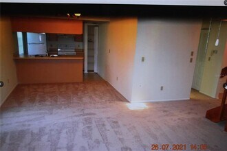 4407 Pine Meadow Ct in Tampa, FL - Building Photo - Building Photo