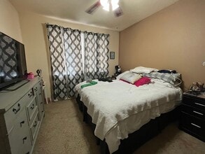 2445 Windrow Dr in Fort Collins, CO - Building Photo - Building Photo