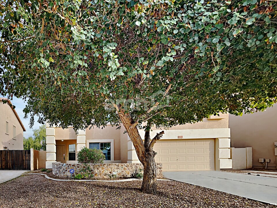 8621 N 68th Ln in Peoria, AZ - Building Photo