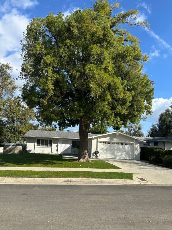 6726 Capistrano Ave in Los Angeles, CA - Building Photo - Building Photo