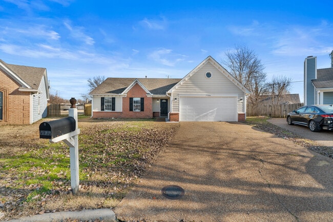 7708 Spring Morning Ct in Memphis, TN - Building Photo - Building Photo