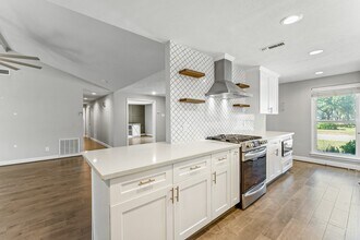 2515 Blue Willow Dr in Houston, TX - Building Photo - Building Photo