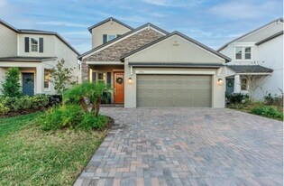 17954 Frame Bend in Land O Lakes, FL - Building Photo