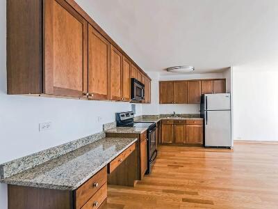 2933 N Sheridan Rd-Unit -29331103 in Chicago, IL - Building Photo - Building Photo