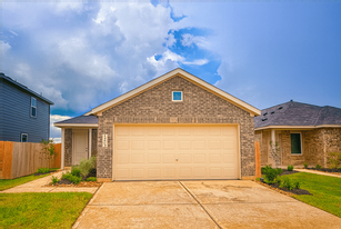 14603 S Ascot Bnd Cir in Conroe, TX - Building Photo