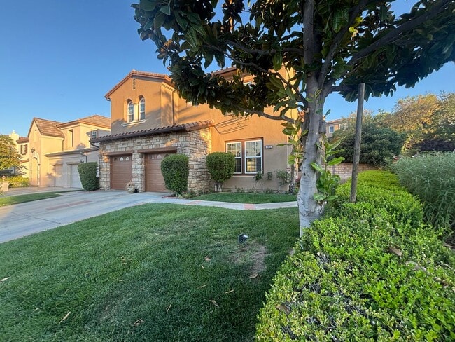 property at 25652 Birchleaf Ct