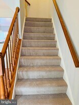 2503 Wheat Meadow Ct in Herndon, VA - Building Photo