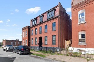 2317 Indiana Ave in St. Louis, MO - Building Photo