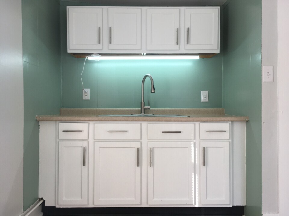 219 W Oakland Ave, Unit 219.5 in Lansing, MI - Building Photo