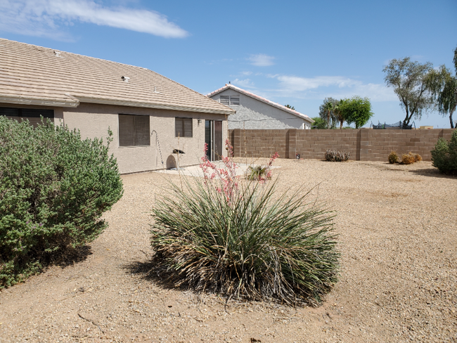 30441 Maple Chase Dr in Queen Creek, AZ - Building Photo - Building Photo