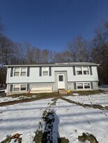 98 Pelham Rd in Amherst, MA - Building Photo