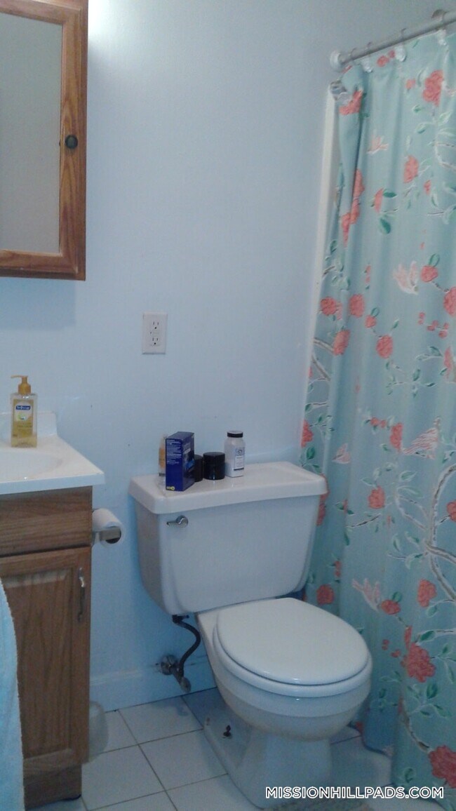 63 S Huntington Ave, Unit 3 in Boston, MA - Foto de edificio - Building Photo