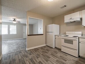 151 Massey Ln in Athens, GA - Building Photo - Building Photo