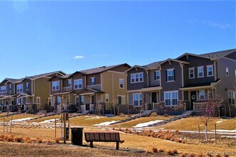 2811 Summer Day Ave in Castle Rock, CO - Building Photo - Building Photo