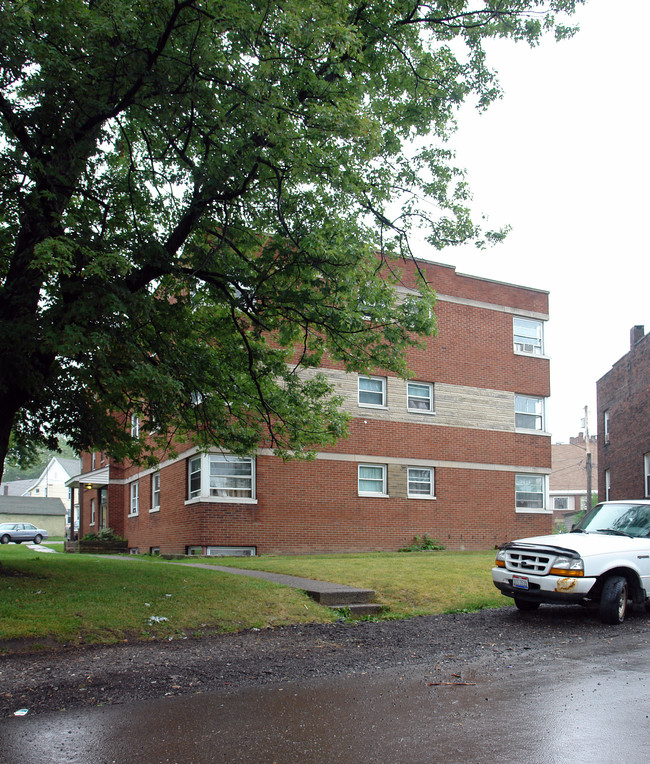 11 Circle St in Niles, OH - Foto de edificio - Building Photo