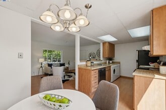 1504 137th Ave in San Leandro, CA - Building Photo - Building Photo