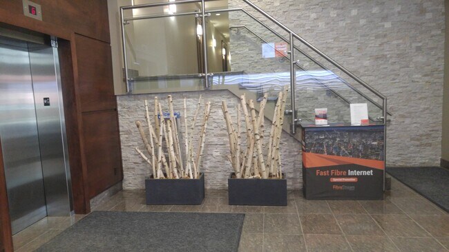 238 Besserer St in Ottawa, ON - Building Photo - Building Photo