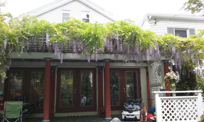 7 Linden Pl, Unit A