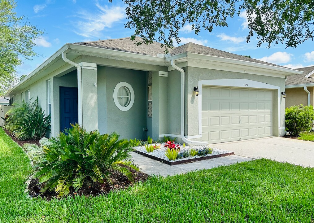 7824 Foxgrove Dr in Land O Lakes, FL - Building Photo