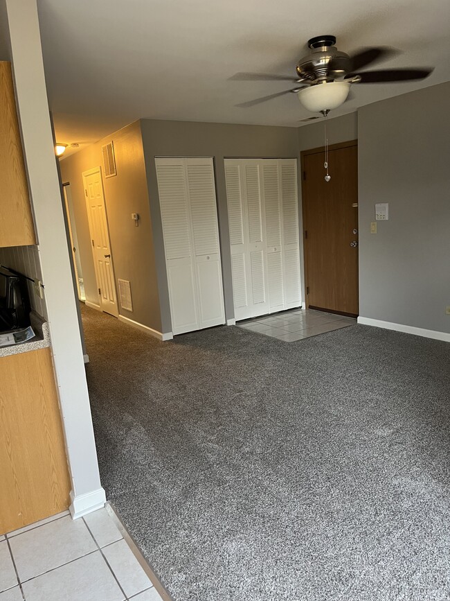 346 Wilmington Dr in Bartlett, IL - Building Photo - Building Photo