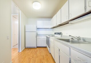 1030 N State St in Chicago, IL - Building Photo - Building Photo