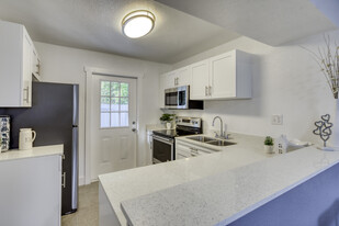 Serenity Lake Apartments in Tampa, FL - Building Photo