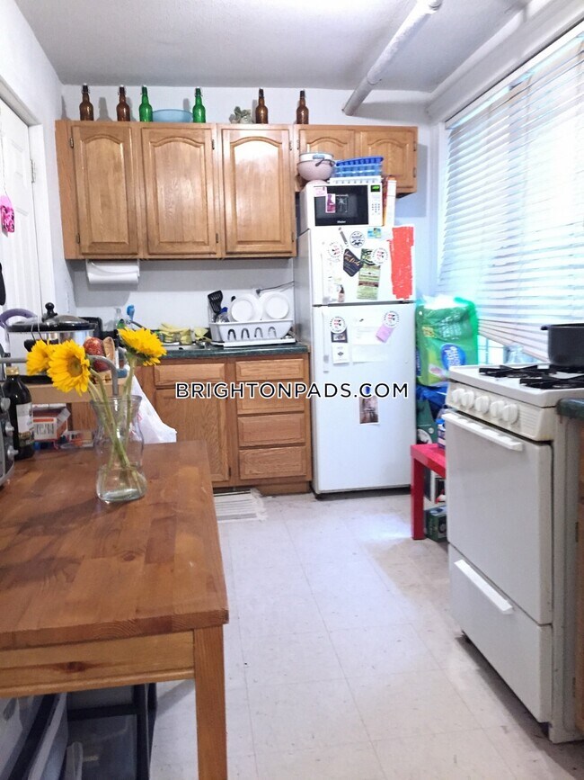 123 Sutherland Rd in Boston, MA - Building Photo - Building Photo