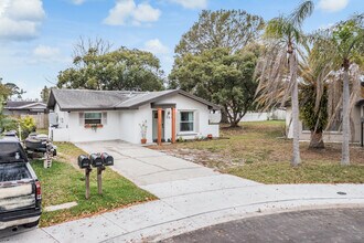 1813 Chinaberry Dr in Oldsmar, FL - Building Photo - Building Photo