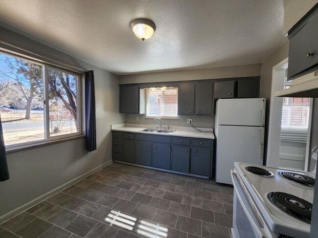 1009 Emporia St in Aurora, CO - Building Photo - Building Photo