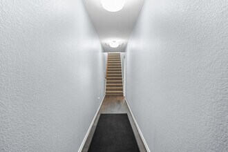 1217 Highknoll Ln in Georgetown, TX - Building Photo - Building Photo