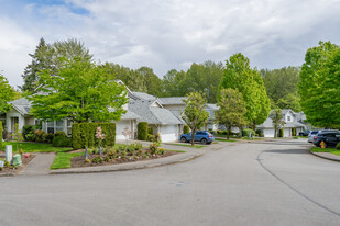 The Meadows at Riverview Apartments