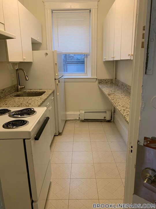 208 Winthrop Rd in Brookline, MA - Building Photo