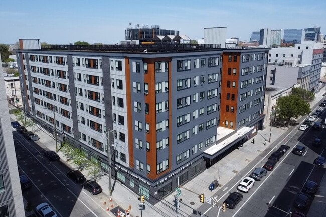 SOLO on Chestnut - 4233