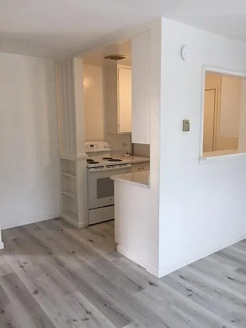 1956 Ivy St, Unit APT 4 in San Mateo, CA - Building Photo