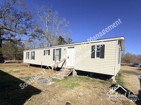 4166 Black Cat Rd in Sour Lake, TX - Building Photo