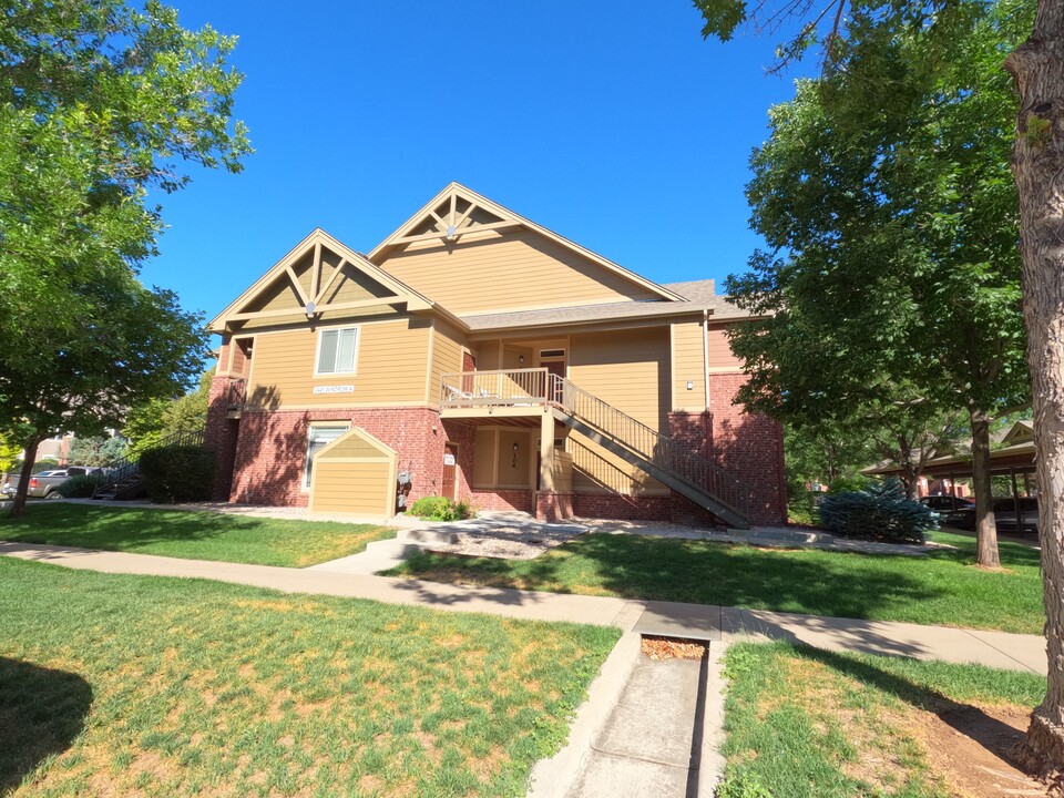 2445 Windrow Dr in Fort Collins, CO - Building Photo