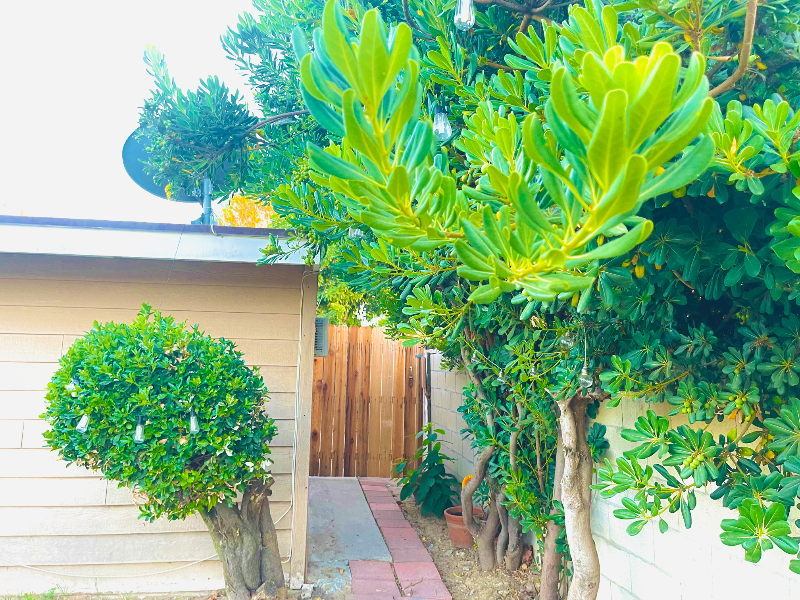 18548 Arminta St-Unit -Studio in Los Angeles, CA - Building Photo